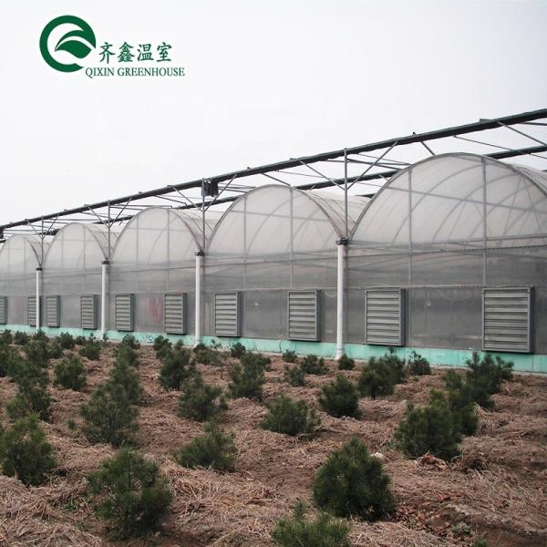 Large Steel Greenhouse Structure Shed Design With 150/200micro PE Film Covering
