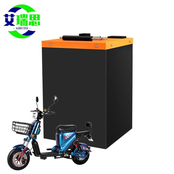Lightweight Lifepo4 Ebike Battery Customized 48v 20ah Lifepo4 Battery Pack