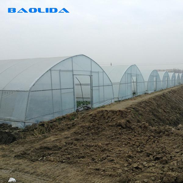 High Hoop Tunnel Polyethylene Film Greenhouse For Agriculture