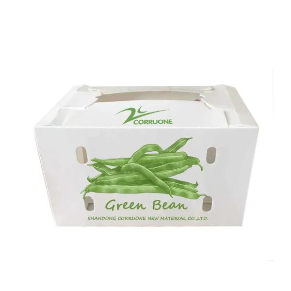 Vegetable Packaging Box engineered to maintain freshness and extend shelf life with moisture resistant and weather proof design