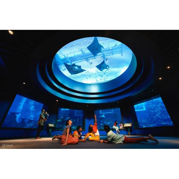 Various Shapes Fiberglass Above Ground Acrylic Swimming Pool with Moulding Processing
