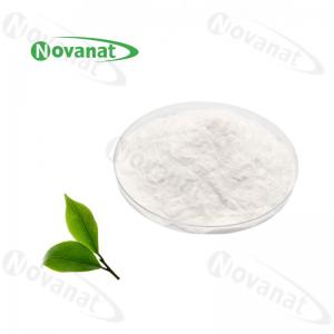  epigallocatechin Gallate Green Tea Extract/EGCG Powder 94%/95%/98%/Decaffeinated Manufactures