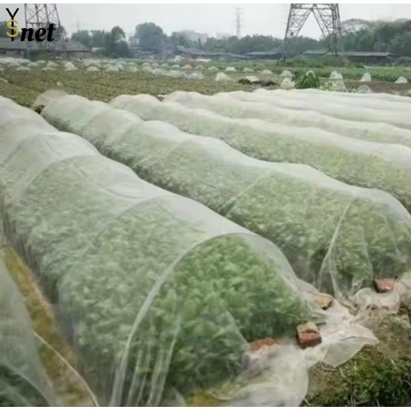 HDPE Greenhouse Bird Netting 20gsm - 30gsm Insect Netting For Garden