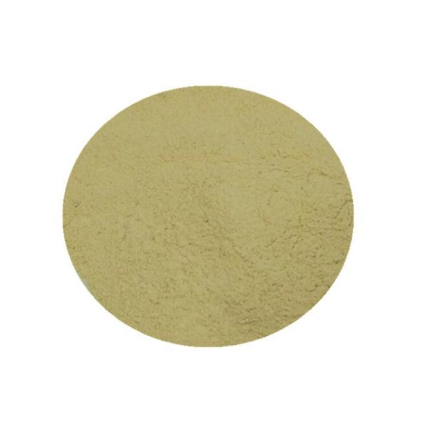 Vegetal Extracted PH 4-6 40% Amino Acid Powder Fertilizer
