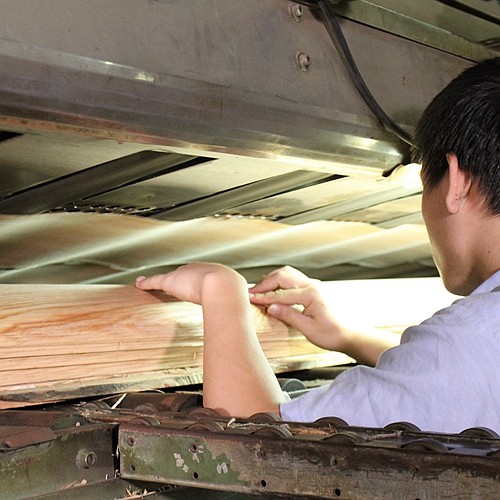Guangdong Great Forest New Decoration Materials Co.,LTD.