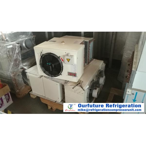 Anti - Corrosion CO2 Evaporator For Freezer Tunnel And Other Freezer System
