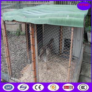  PVC Coated &amp; Galvanized Chicken Hexagonal Wire Mesh Manufactures