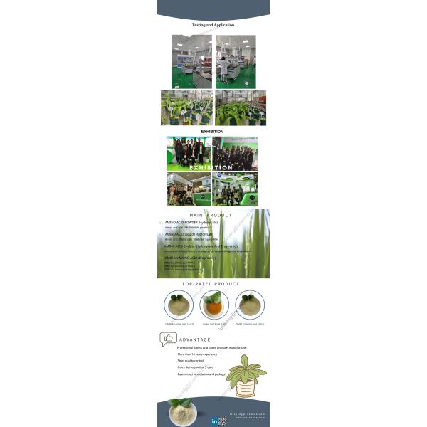 Organic Amino Acid Liquid Fertilizer Vegetable source Amino Acid Clear Yellow Liquid 30%