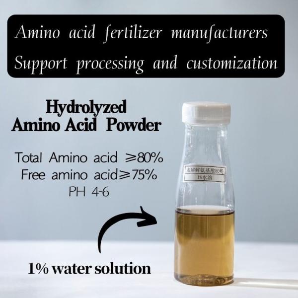 OMRI Certified 80% Hydrolyzed Amino Acid Powder China Manufacturer