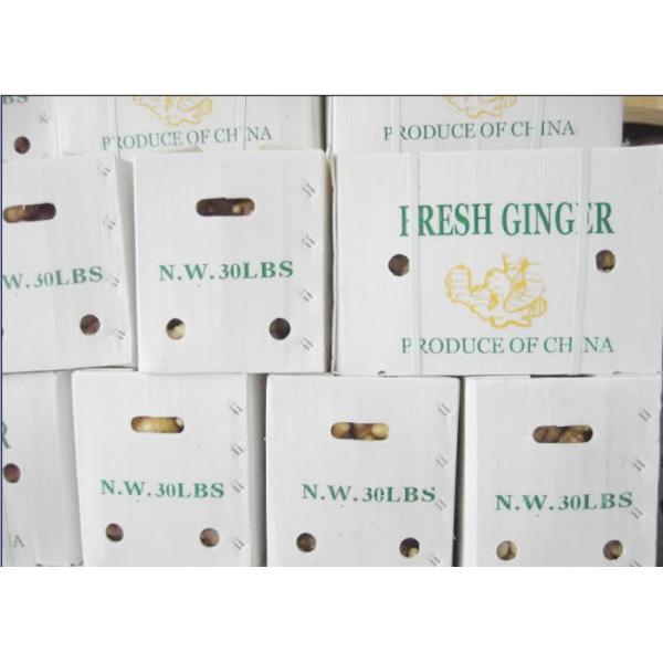30lbs Fresh Ginger PP Fluted Corrugated Plastic Box