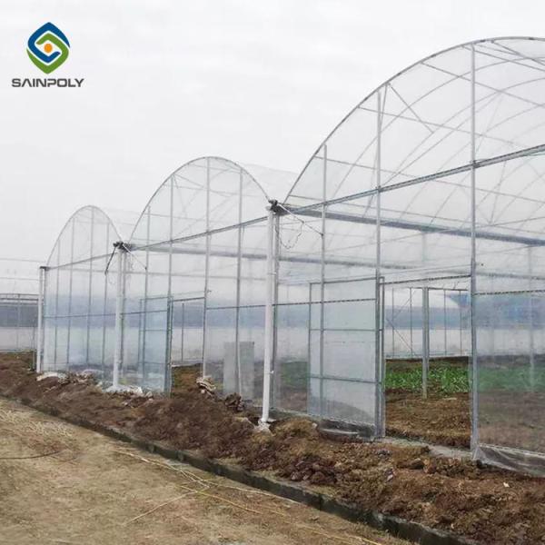 Agricultural Polytunnel Polyethylene Plastic Sheeting Greenhouse Multi Span