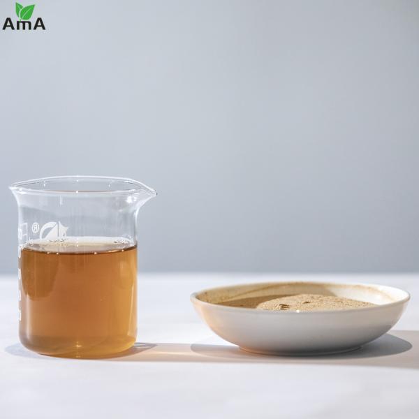 Soy Bean Source Amino Acid Organic Fertilizer 40% Brown Powder For Organic Agriculture