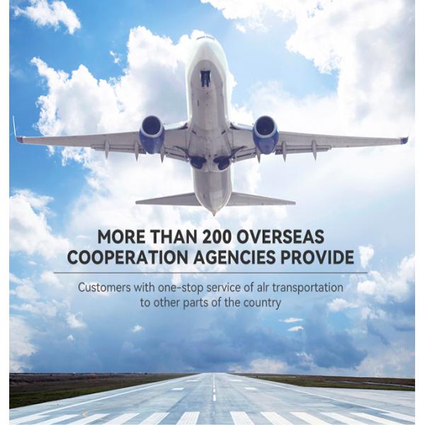 DDU DDP International Sea Freight Forwarding Shenzhen To North America
