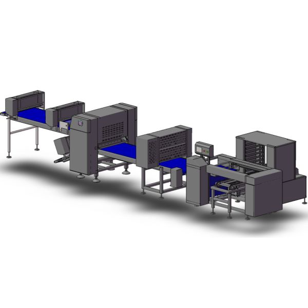 Modular Structure Frozen Pizza Manufacturing Equipment With Turnkey Bakery Solution