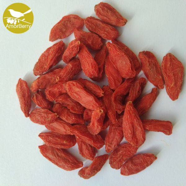 Chinese dried snacks manufacturer wholesale sweet sancks berries goji with hot 380 grains