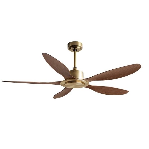 Wholesale factory, Indoor Modern Ceiling Fan Frequency Conversion 56 Inch Remote Control Light Free Ceiling Fan