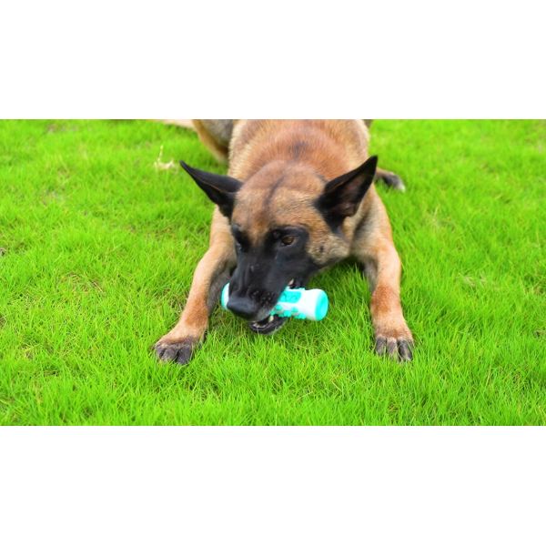 Dog Teeth Cleaning Toys Natural Rubber Chewing Sticks Toothbrushes For Small And Medium Dogs Pet Teething Toys Dog Molar Stick