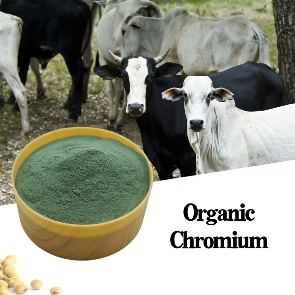 Organic Chromium Feed Additive with 8% Chromium & 25% Amino Acid