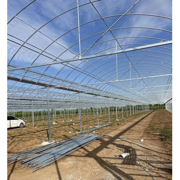 Large Multi-Span PE/Po Plastic Film Agricultural Greenhouse with Hydroponics System