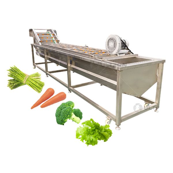 Water Saving 500kg Per Hour Vegetable and Fruit Avocado Garlic Tomato Pomegranate Cherry Washing Grading Sorting Machine