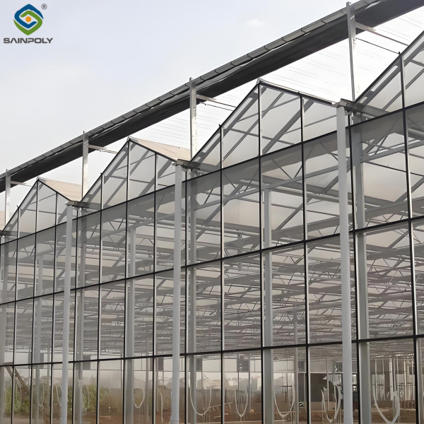 Modern Venlo Greenhouse Farming Commercial Glass Greenhouse With Steel Frame