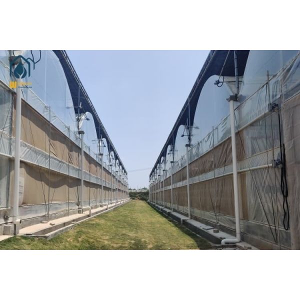 Galvanized Steel Frame PE Film Greenhouse Agriculture Multi Span Tunnel Greenhouse