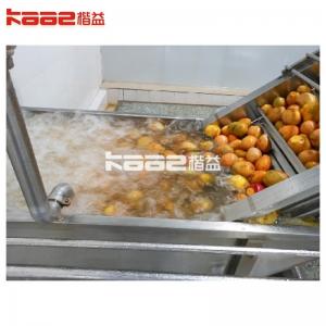  20T/H Mango Juice Production Line Mango Fruit Juice Processing Machine Manufactures