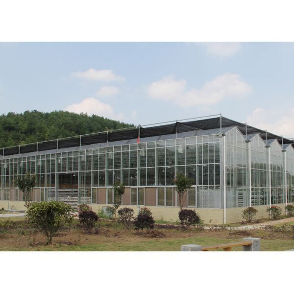 6 mm PC Sheet Greenhouse Multi Span Stainless Steel / Aluminum Profile
