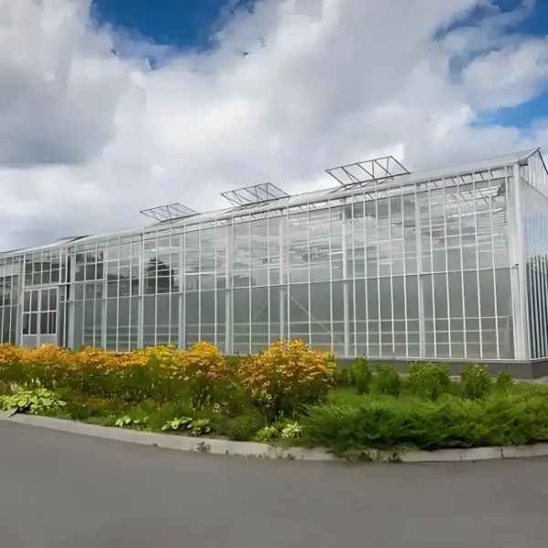 Galvanized Steel Venlo Greenhouse Commercial Polycarbonate Greenhouse With Hydroponic Growing System