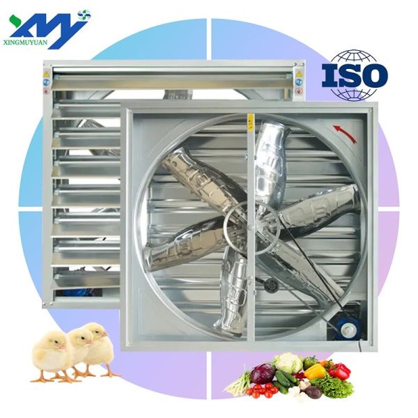 Big air Volume 50 Inch Low Price Greenhouse Temperature Control Exhaust Fan Heavy Hammer Fan for Chicken Coop 300mm