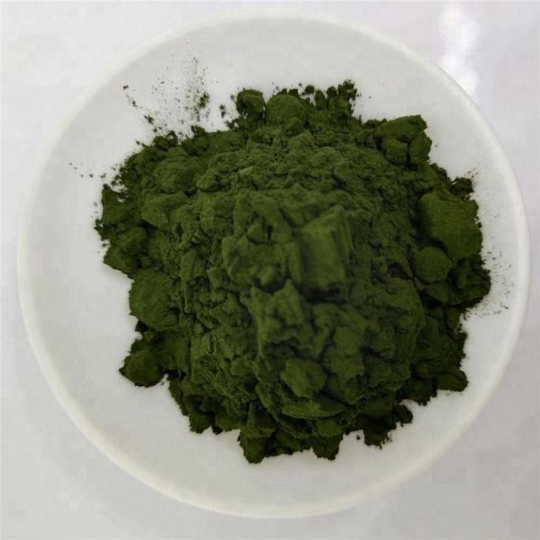 Medicine Grade Organic Chlorella Powder With Best Price