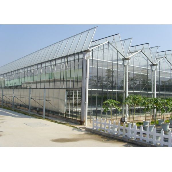 Medical Planting Agricultural Greenhouse Customized Size With Blackout Curtain