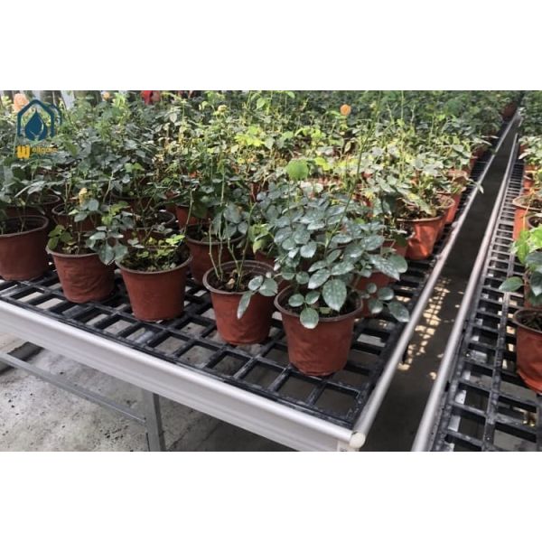 Durable Flat Panel Greenhouse Bench Trays Seedbed With UV Protected Grow Tables