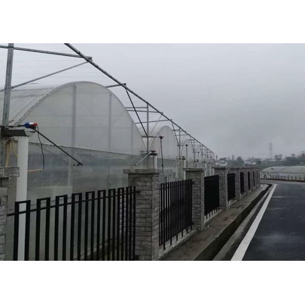 Agricultural Hydroponic Venlo Glass Greenhouse High Efficiency Energy Saving