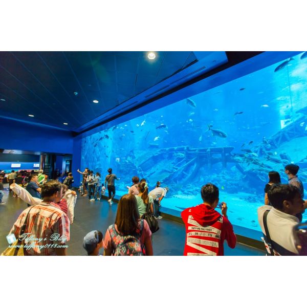 Various Shapes Fiberglass Above Ground Acrylic Swimming Pool with Moulding Processing