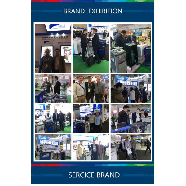 240V R134a AC Recovery Machine A/C Recovery for Car