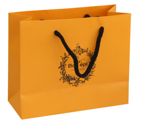 Luxury Shopping Paper Bags with Your Own Logo Printing Paper Bags