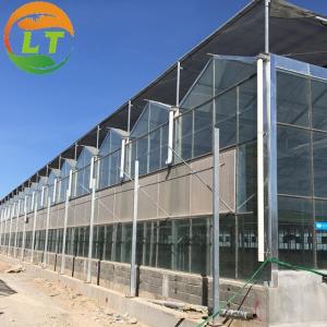  Multi-span Agricultural Glass Greenhouse with Film Covering Width 8m or Customizable Manufactures