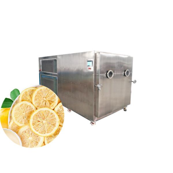 Dried Fruit Industrial Freeze Dryer Machine 200kg/batch
