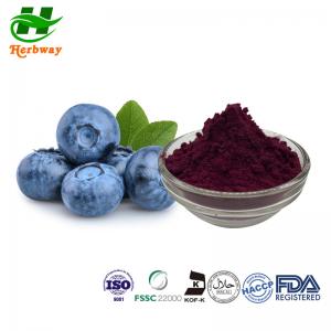 ISO Natural Pigment Powder 25% Anthocyanidins 84082-34-8 Europen Bilberry Extract Powder Manufactures