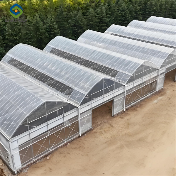 OEM  Commercial Polycarbonate Greenhouse Kits Single Span Greenhouse Vegetable Seeding