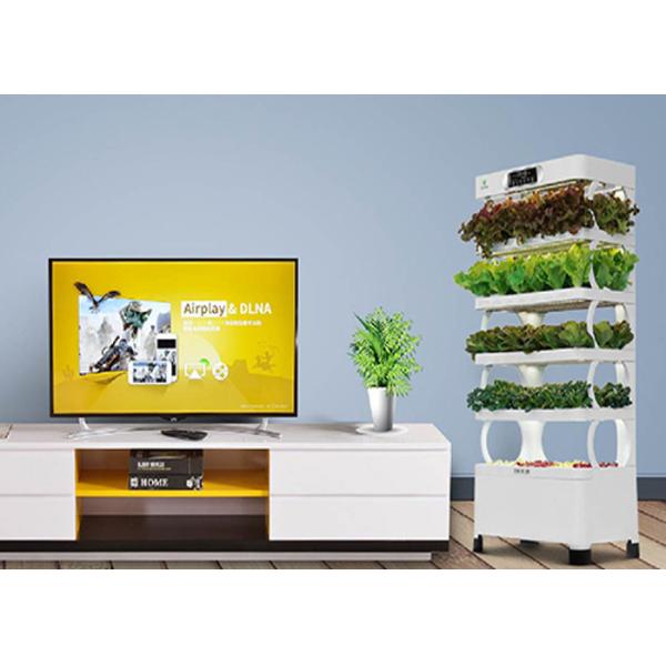 Smart Indoor Hydroponic System For Planter Fashion Versatile Energy Saving