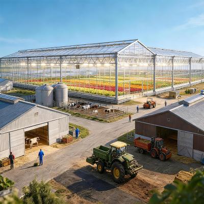 Custom Agricultural Steel Frame Building for Farm Greenhouses Barns