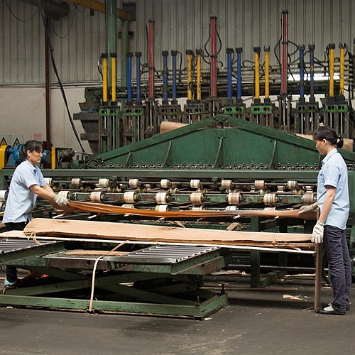 Guangdong Great Forest New Decoration Materials Co.,LTD.