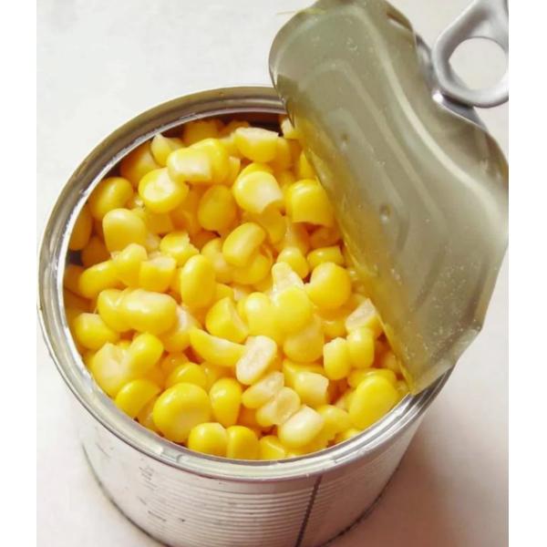 Top Grade Canned Sweet Corn in Water with Fresh Yellow Color