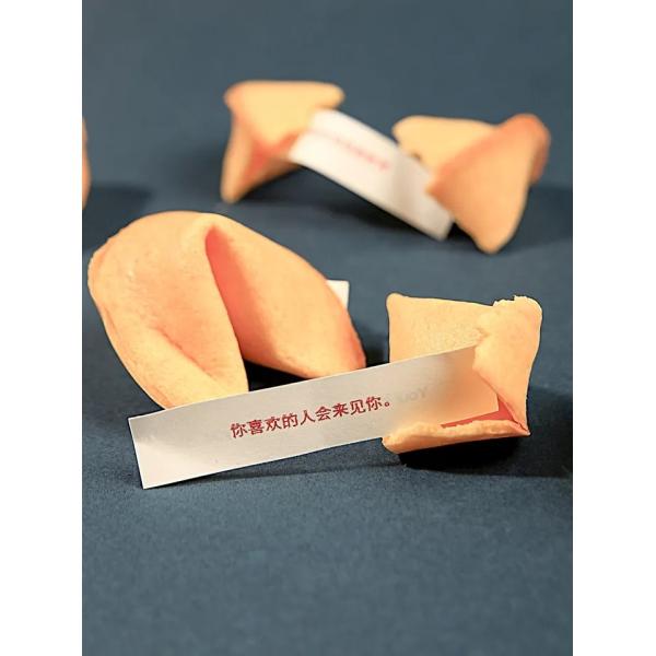 Cute And Delicious Bakery Cookies Biscuit Custom Fortune From Mygou Foods