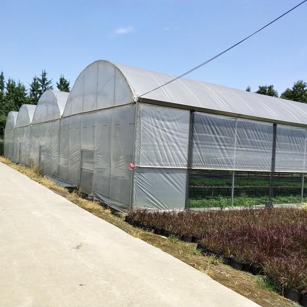 Durable Multi-Span Polytunnel Greenhouse Heavy-Duty Steel Wind Snow Resistance Commercial Farms Nurseries