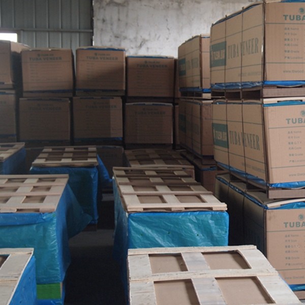 Guangdong Great Forest New Decoration Materials Co.,LTD.