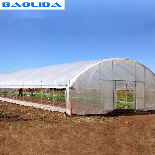 Modern Tunnel Plastic Greenhouse For Tropical Climate Plastic Covering
