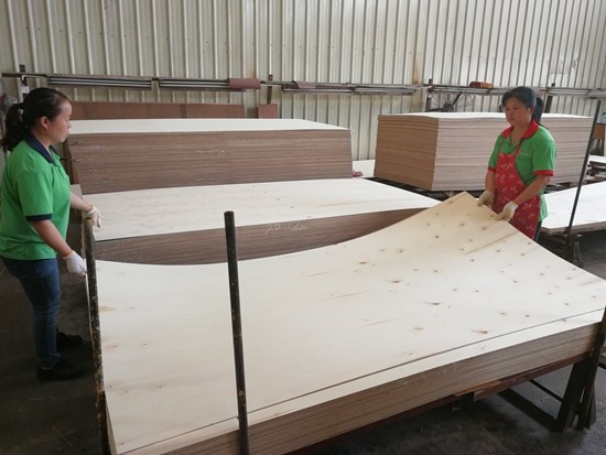 Guangdong Great Forest New Decoration Materials Co.,LTD.
